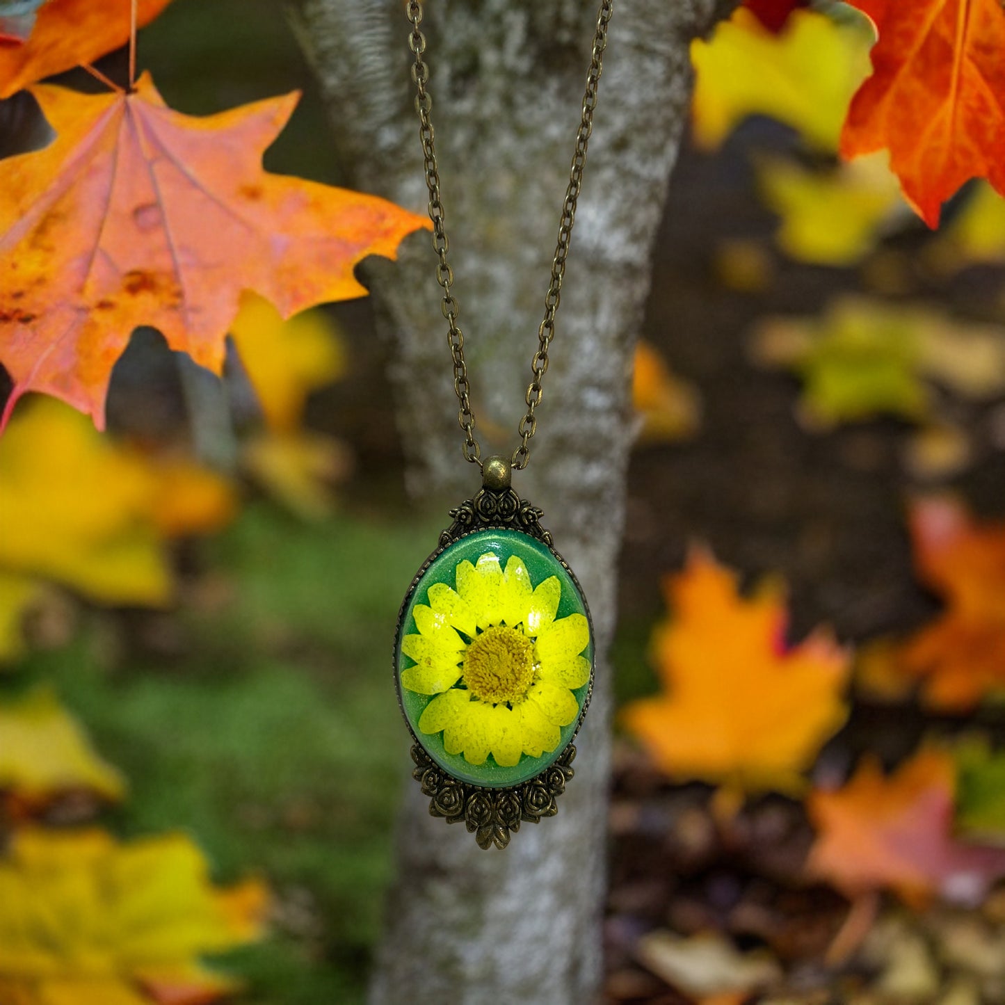 Rich Yellow Green Daisy